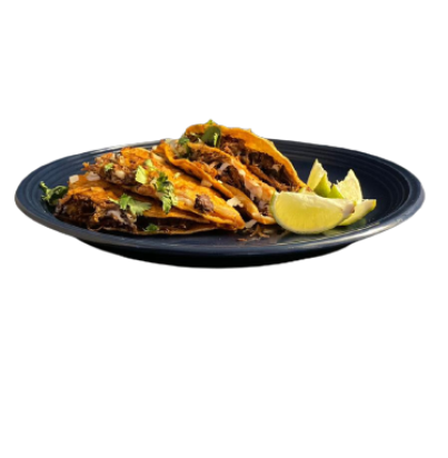 birria
